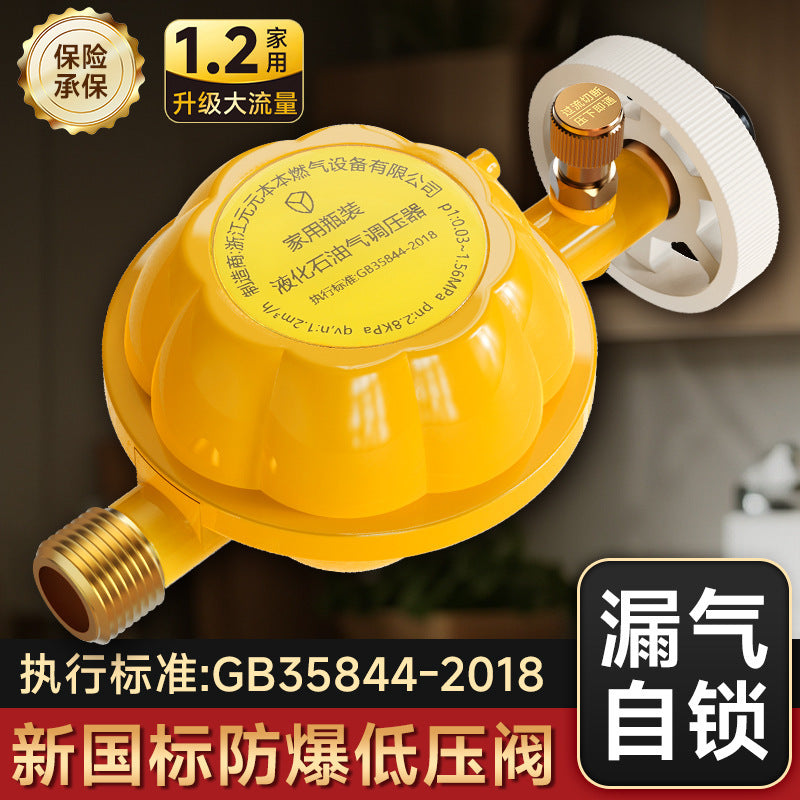 One piece of gas pressure reducing valve household national standard 1.2L gas tank gas stove valve gas pipe automatic shut-off valve