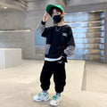 Kids' fall outfit: boys' hoodie set - spring/autumn  new arrival - faux two-piece, street style cool, big & tall kids' activewear