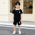 children's wear: boys' summer casual fashion dinosaur embroidered polo shirt + shorts two-piece set - wholesale