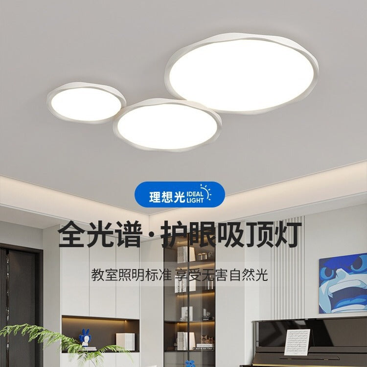 Full Spectrum Minimalist Living Room Light Modern Simple Atmosphere Bedroom Ceiling Light Bauhinia Eye Protection Main Light Zhongshan Lighting