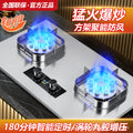 Gas stove double stove gas stove for home natural gas liquefied gas stove embedded stove fierce fire stainless steel