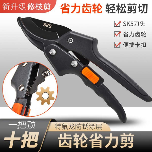 SK5 stainless steel fruit tree pruning shears garden scissors flower fruit picking multi-functional pruning shears gardening tools wholesale
