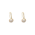 Korean retro pearl pendant earrings women's ins trendy light luxury super sparkling micro-inlaid zircon ear hooks earrings wholesale