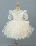 Ready-to-ship, hot-selling girls' dresses for cross-border e-commerce, new high-end flower girl dresses, wedding dresses, piano recital dresses, and princess dresses for children, perfect for