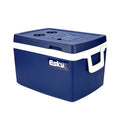 Esky 50l refrigerated box vehicle cold chain commercial distribution box wholesale fruit and vegetable insulation box outdoor sea fishing fresh-keeping box