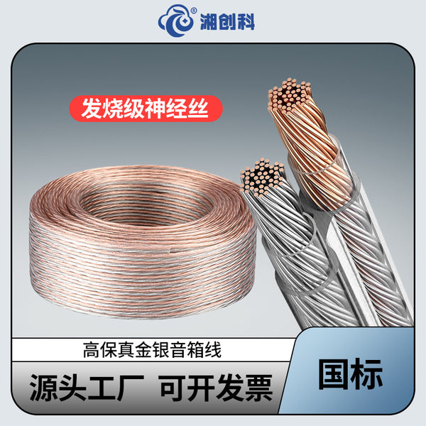 National standard RVH high fidelity gold and silver wire 2 cores 200/300/400/600 subwoofer power amplifier special speaker cable
