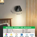 Magnetic charging model (neutral light) black