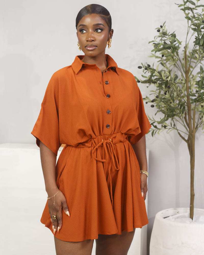 European and american cross-border women's fashion:  autumn/winter new collection - solid color short-sleeve shirt collar, cinched waist, drawstring, elegant dress