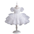 Amazon export girls' dresses model runway performance costume host performance costume tutu skirt children's princess dress