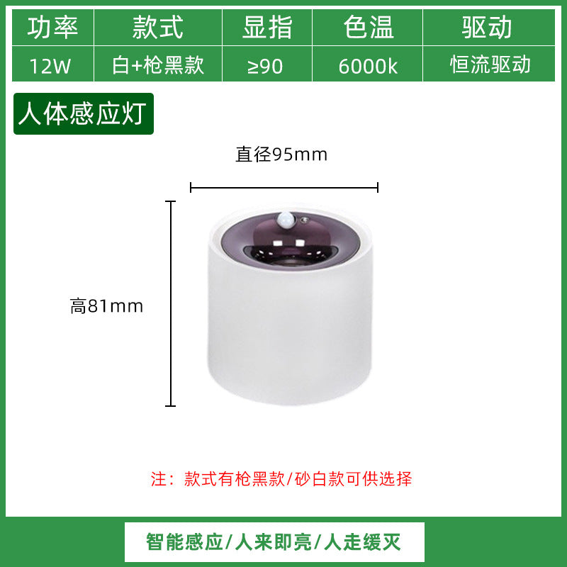 Three pine sensor lights Human body induction embedded ceiling lights Entry door aisle balcony entrance intelligent light control lights