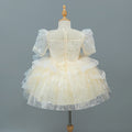 Ready-to-ship, hot-selling girls' dresses for cross-border e-commerce, new high-end flower girl dresses, wedding dresses, piano recital dresses, and princess dresses for children, perfect for