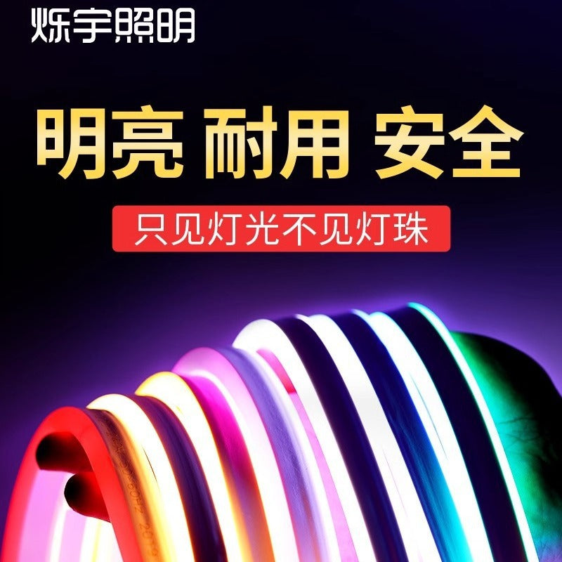 LED light with neon light flashing color-changing 220v decorative outdoor waterproof light strip linear light energy saving and power saving