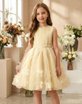 European and american style cross-border girls' formal dress - custom sleeveless vest dress with tulle skirt - sweet style girl dress
