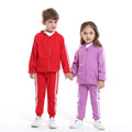 Export children's clothing kidsnew arrivalcasual zipper shirt suit cotton spring & fall hoodie sportswear two-piece set