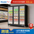 Walther freezer commercial freezer defogging glass door refrigerator supermarket fresh food refrigerated freezer display cabinet