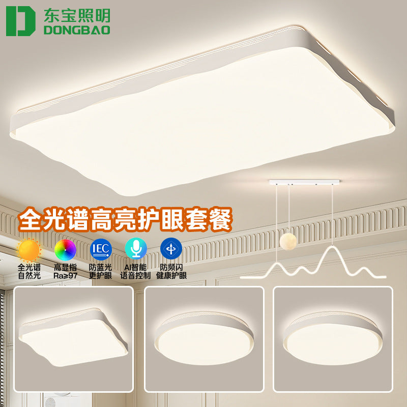 Dongbao Lighting Bedroom Minimal Ceiling Light, Full Spectrum Eye Protection LED Light, Hall Main Light Zhongshan Furniture Lighting