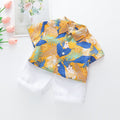 Amazon new spring/summer boys' leaf print short sleeve and shorts set - beach vacation style two-piece outfit