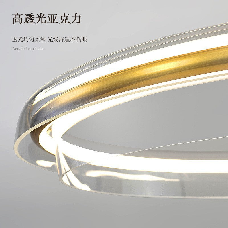 Modern light luxury living room LED ring chandelier designer Nordic simple Internet celebrity restaurant bedroom model room lighting