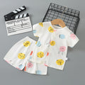 Baby short-sleeve set, pure cotton summer outfit, infant short-sleeve cardigan, newborn loungewear, lightweight children's pajamas