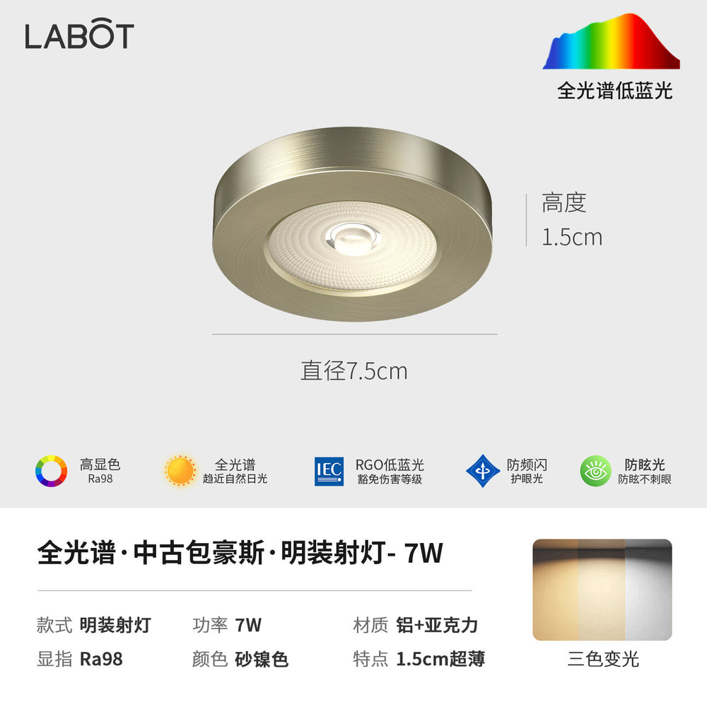 Bauhaus minimalist aisle corridor ultra-thin surface-mounted downlight spotlight retro industrial style anti-glare ceiling fixture (no main light)