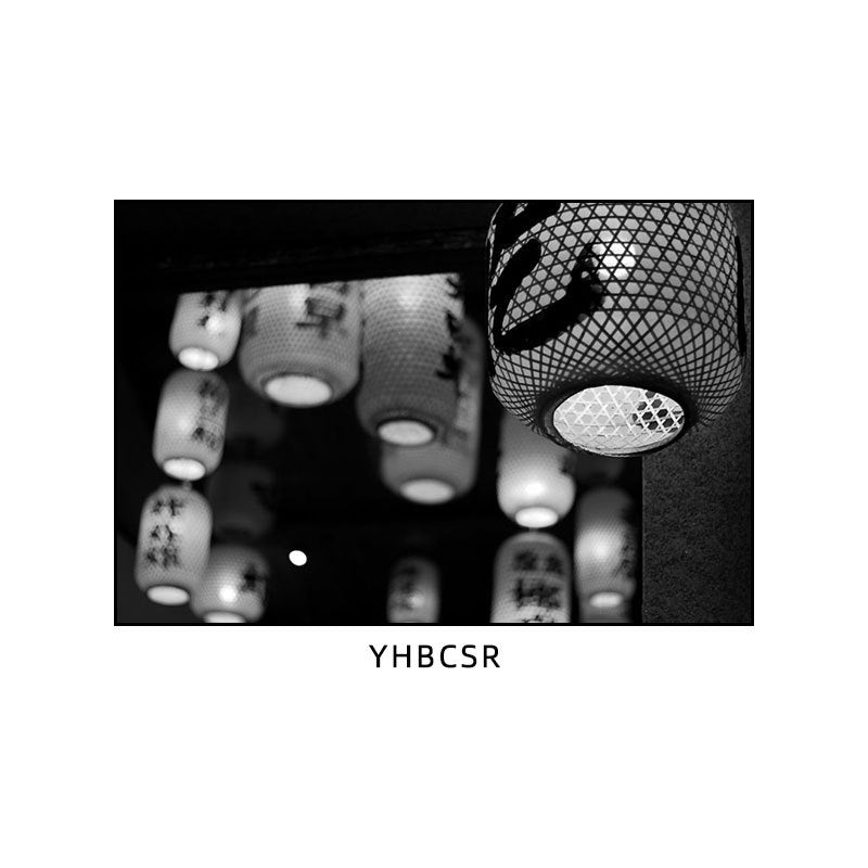 Hunan restaurant hanging paintings old Changsha Chinese hotel restaurant box hanging paintings retro nostalgic Hunan black and white architectural murals