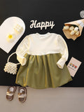 Wholesale foreign trade: sweet and adorable dresses for 0-3 year old baby girls - stylish first birthday party dresses, spring and autumn apparel