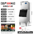 Daily output 300kg (273 ice trays)