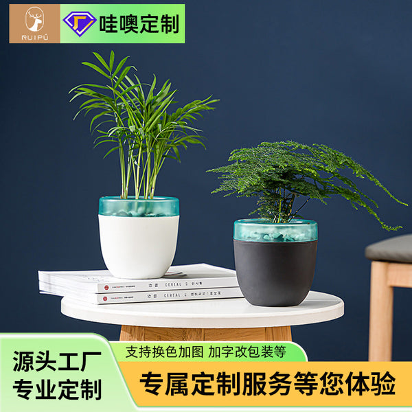 Automatic water absorption, no watering, water storage flower pot, lazy automatic watering, dill resin plastic succulent pot, factory direct sales
