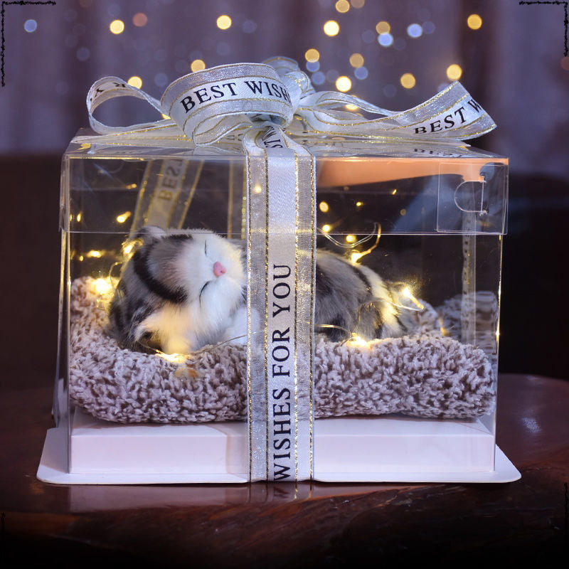 Birthday gifts for girls on Children's Day, children's girlfriends, girlfriends, simulated cats to accompany dolls 61 gift boxes