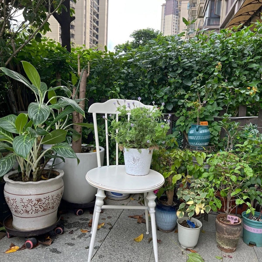 Nordic retro cream iron windsor chair backrest single chair dining chair outdoor courtyard open garden table and chair