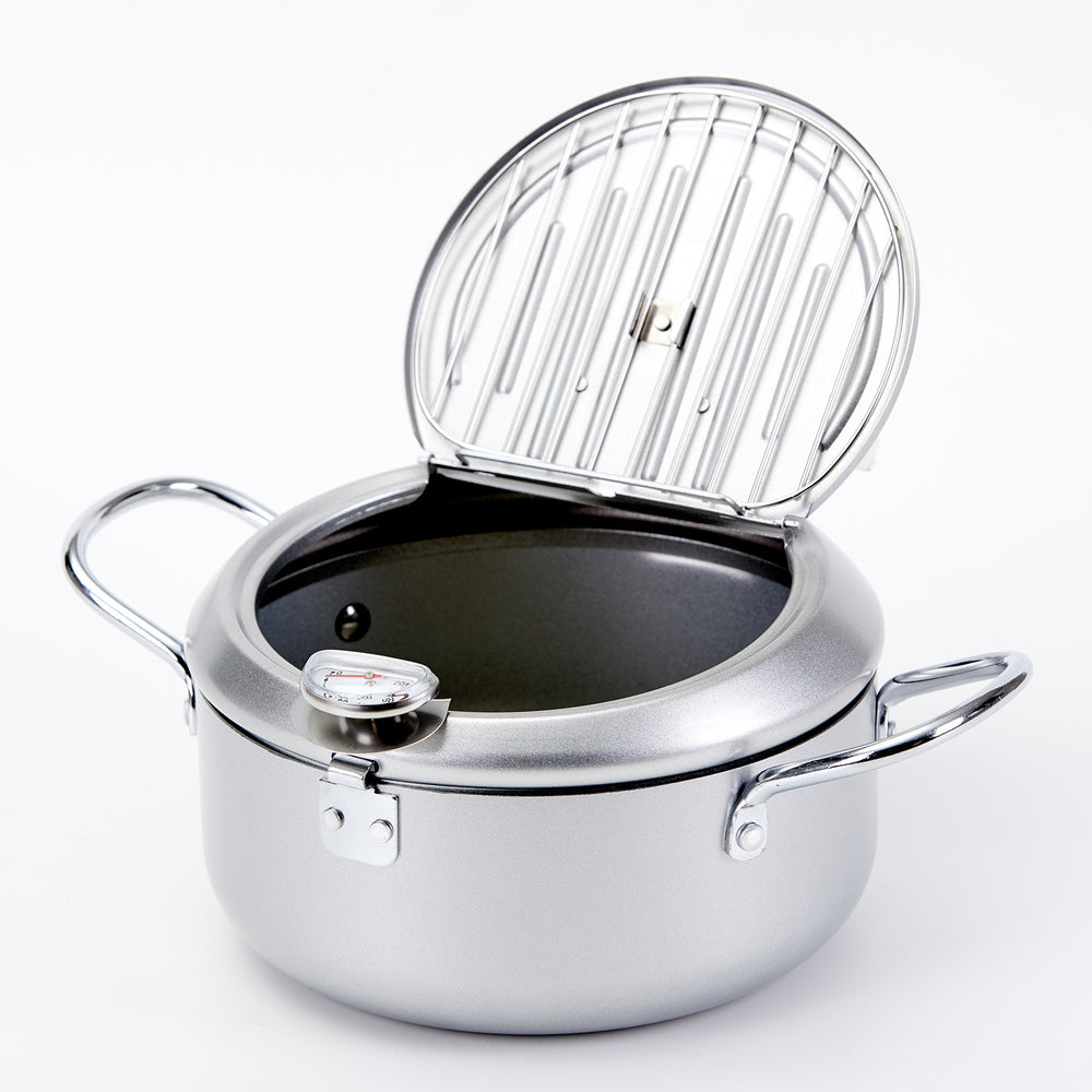 Korean style deep fryer - home use mini fryer with adjustable temperature, gas/gasoline powered, fuel-saving, non-stick coating, and includes filter rack