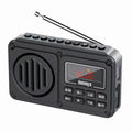 Dx-d87 bluetooth radio mp3 player for seniors - record, delete, card slot, portable music speaker