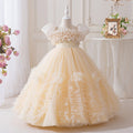 export girls' dresses: high-end new flower girl wedding dresses, tulle tutu skirts, little girl runway outfits - in stock
