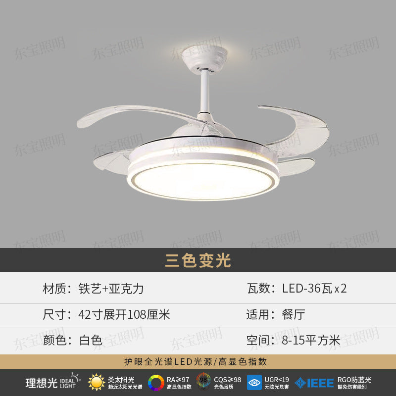 Dongbao Lighting Bedroom Minimal Ceiling Light, Full Spectrum Eye Protection LED Light, Hall Main Light Zhongshan Furniture Lighting