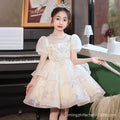 ready-to-ship girls' dresses,  new elegant wedding flower girl princess dresses, children's princess dresses for piano recitals