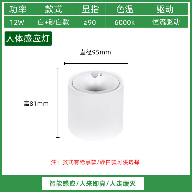 Three pine sensor lights Human body induction embedded ceiling lights Entry door aisle balcony entrance intelligent light control lights