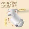 Water ripple dynamic atmosphere spotlight french entrance entrance landscaping decoration living room corridor aisle projector lamp