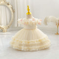 Ready-to-ship new floral cake princess dress - baby girl's first birthday party gown
