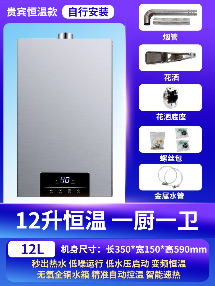 Wholesale natural gas gas water heater for home thermostatic forced exhaust liquefied gas coal gas balanced 16l zero cold water