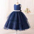 European and american cross-border children's christmas costume performance dress - girls' long skirt, performance gown, princess dress