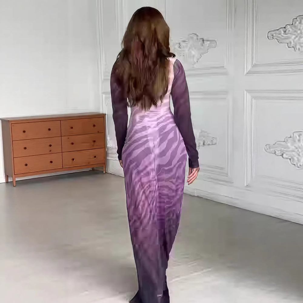 European and american cross-border chic women's clothing:  spring new arrival - long sleeve stand collar slim-fit printed sheer maxi dress