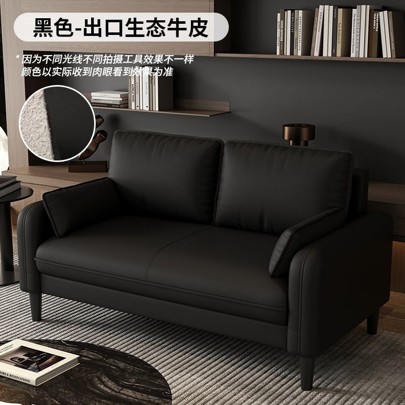 Small apartment sofa double three-person accessible luxury apartment rental room rest area reception clothing store b&b cat scratching leather wood