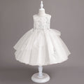 Ready-to-ship wholesale children's formal dresses, tulle princess dresses, little girl's piano recital dresses, girl dress