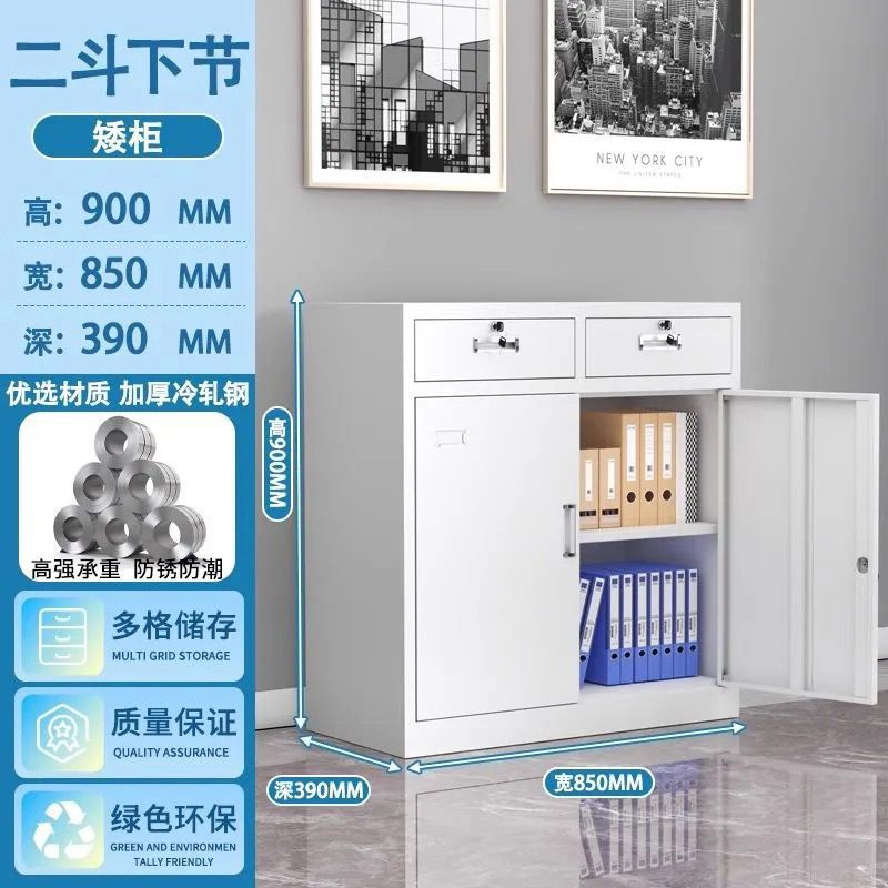 Office metal file cabinet - accounting & finance storage cabinet - voucher cabinet - storage cabinet - document & record cabinet - lockable cabinet