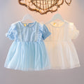 Kids' princess dress - summer style, korean fashion, trendy mesh dress for little girls - wholesale available