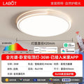 Eye-caring bedroom light, master bedroom 2025 new led ceiling lamp, minimalist modern high-end room light, popular trending style
