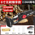 6inch household model 2.0ah two batteries + 2 chains + carton