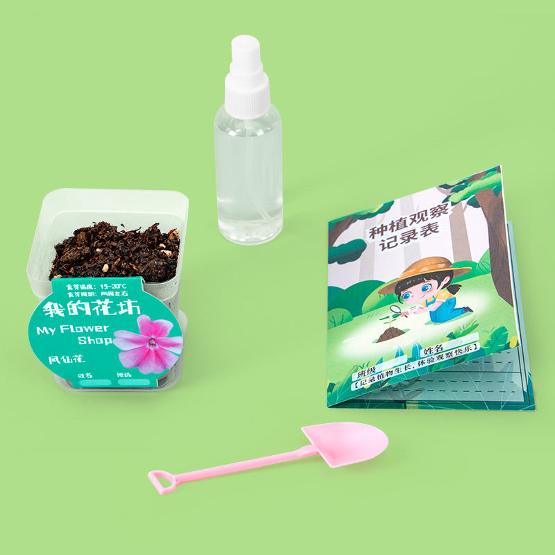 Plant Seed Planting Impatiens Fourth Grade Primary School Students Science Experiment Set Observation Homework Technology Small Production