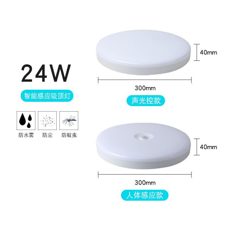 Factory wholesale LED three-proof ceiling light sound and light control radar human body induction light corridor aisle staircase lighting