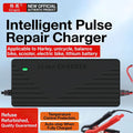 Lithium battery charger 48v 60v 72v 5a, high-power smart fast charger for ternary lithium and lithium iron phosphate batteries